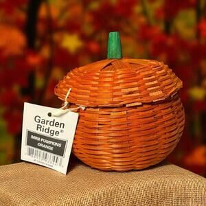 NOS Wicker Halloween Thanksgiving Orange Mini Pumpkin Woven Basket & Lid 3.5”